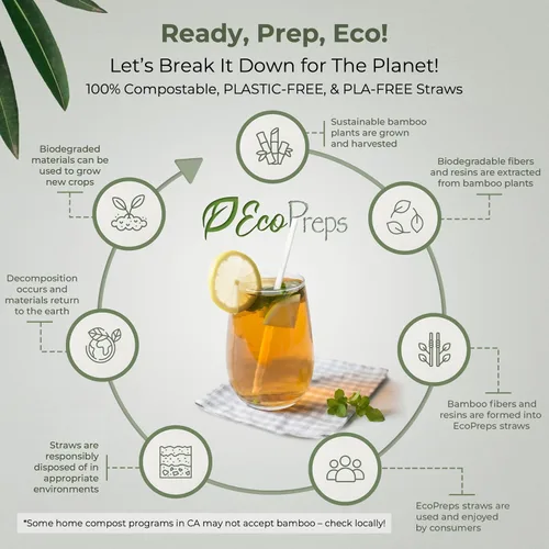 Vista 6 de EcoPreps Pajitas de fibra de bambú biodegradables, 150 unidades, 100% compostables, sin plástico, ecológicas, popotes desechables de fibra vegetal