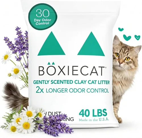 Vista 16 de Boxie® - Arena aglutinante de arcilla extra fuerte con control de olores de 35 días para gatos y gatitos, 16 libras, 99.9% libre de polvo, fórmula