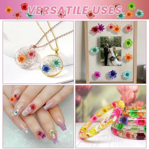 Vista 2 de 800 mini flores secas para resina, incluyen pinzas, pequeñas flores pequeñas