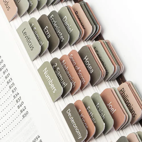 Vista 26 de Mr. Pen - Pestañas de la Biblia, 75 pestañas, tierra otoñal, letras doradas en relieve Laminated Bible Tabs for Women and Men, Bible Tabs for
