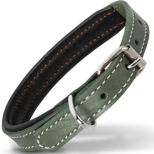 Vista 16 de Filbert Collar de cuero para perro, collar de cuero genuino para perros pequeños, acolchado de lujo, fuerte, ajustable para todas las razas, hebilla