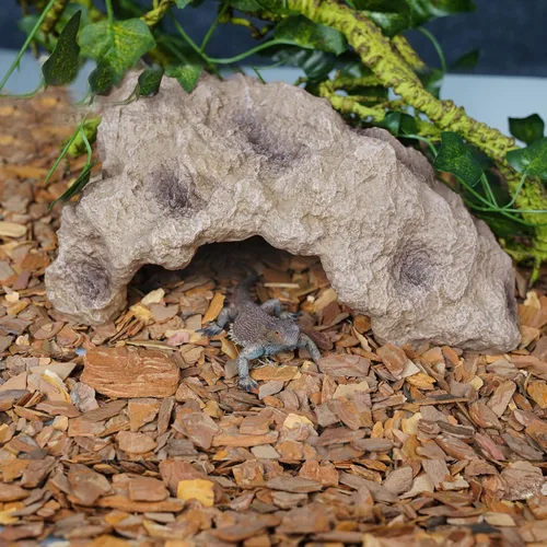 Vista 6 de Cueva de Ocultación de Piedra para Reptiles Cosyall Escondite de Roca para Reptiles Terrario Hábitat Decoración Adorno Refugio para Cangrejo