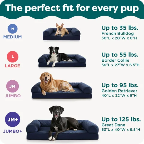 Vista 6 de Furhaven - Cama ortopédica para perros, estilo sofá, acolchada, con funda extraíble y lavable, marrón tostado, tamaño jumbo (XL)
