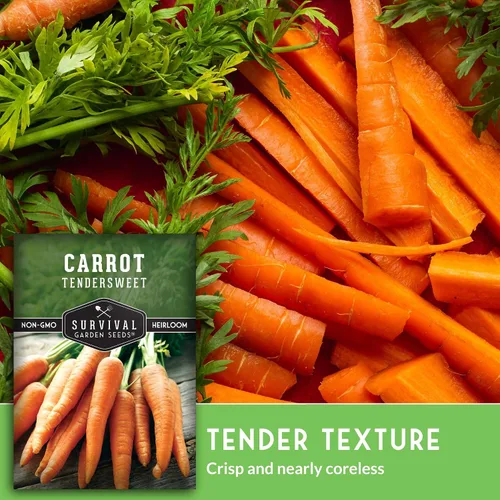 Vista 4 de 1 paquete de semillas de zanahoria tiernas para plantar, paquete con instrucciones para cultivar zanahorias naranjas largas y crujientes en tu