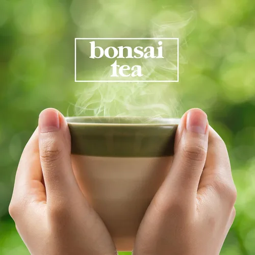 Vista 4 de Bonsai Tea Co. Paquete variado, compatible con cafeteras K Cup incluyendo 2.0, 40