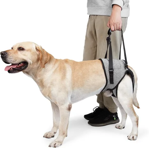 Vista 7 de JOHNBOLIN Arnés de elevación para perros, cabestrillo para perro con acolchado, soporte de pierna trasera para ayudar a rehabilitar, ayuda a perros