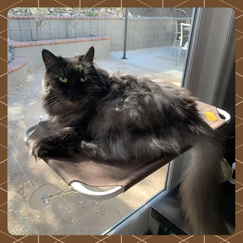 Vista 4 de Percha de seguridad para ventana de gato, con soporte inferior de 360 °, para cualquier gato