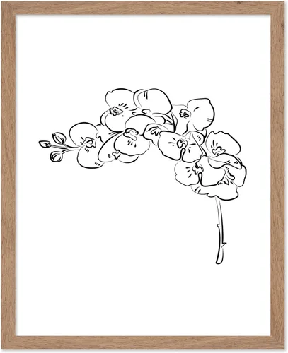 Vista 35 de Poster Master Póster Plumeria - Impresión de flores retro, arte floral, arte de flores tropicales, arte de línea - Arte de boceto - Arte abstracto