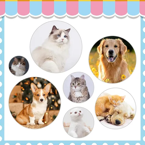 Vista 5 de Cepillo Deslizante de Autolimpieza, Cepillos para Gatos de Interior con Peine de Metal, Cepillos de Pelo para Perros y Gatos para Mudanza de Pelo