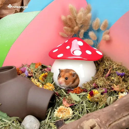 Vista 5 de Niteangel Escondite de hábitat de hámster de cerámica: - Casa escondida para ratones de hámster enanos sirios, jerbos u otras mascotas pequeñas