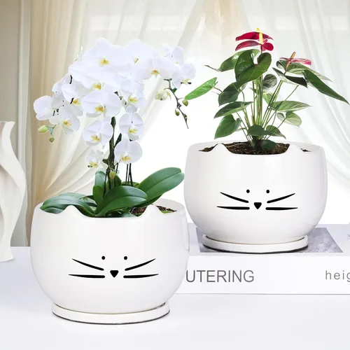 Vista 4 de Koolkatkoo Juego de 2 macetas de cerámica para gatos de 6 pulgadas con agujero de drenaje y platillo para plantas de interior y exterior, grande