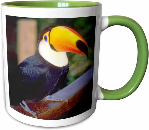 Vista 11 de 3dRose Florene Birds - Tucán - Tazas (mug_17933_9)