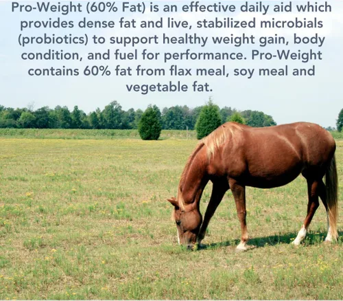 Vista 3 de Pro-Weight 30lb para un aumento de peso saludable en caballos