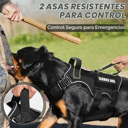 Vista 4 de Juego de chaleco y correa táctico para perro de servicio, arnés resistente con hebillas de metal para perros de tamaño mediano, chaleco ajustable
