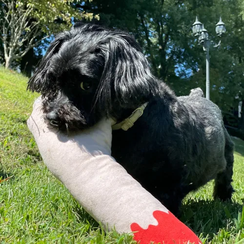 Vista 3 de Juguete de brazo zombi para perro divertido de peluche con chirriador masticable para cachorros