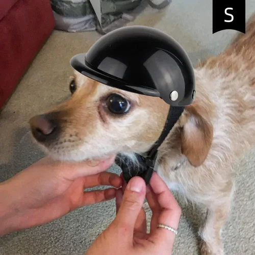 Vista 7 de Enjoying - Casco para perros pequeños, casco para perros pequeños, cascos para perros pequeños, cascos para perros pequeños, gatos, viajes Negro