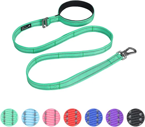 Vista 11 de EXCELLENT ELITE SPANKER Correa de nailon reflectante de doble capa para perro, con asa acolchada, correas de nailon de 5 pies para perros para Negro