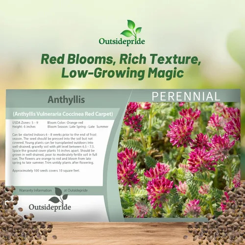 Vista 5 de Outsidepride 100 semillas perennes de flores rojas Anthyllis semillas de cobertura del suelo para plantar