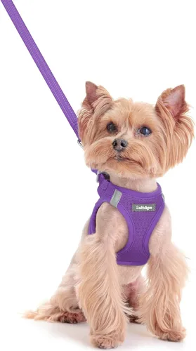 Vista 82 de rabbitgoo Arnés para perro de tamaño pequeño y juego de correa, chaleco Cachorros de manzana