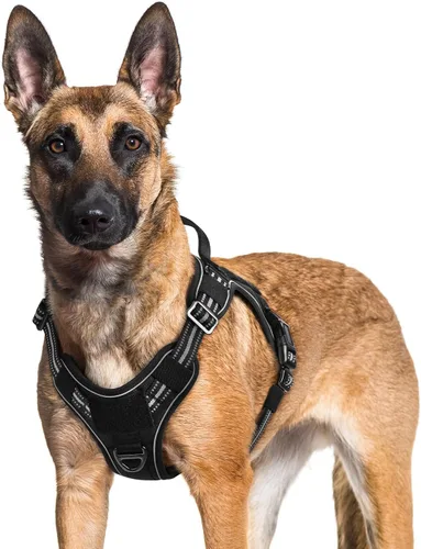 Vista 45 de rabbitgoo - Arnés para perros pequeño sin tirones, chaleco táctico de servicio con Molle y asa de control, arnés militar ajustable y reflectante