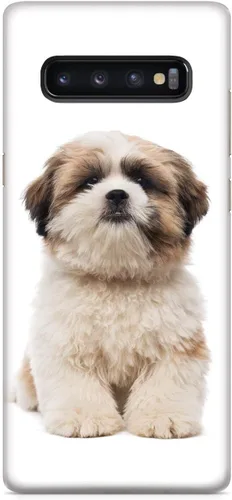 Vista 17 de Inspired Cases - Funda compatible con iPhone Xs Max - Funda protectora con textura 3D para Apple iPhone Xs Max - Shih Tzu