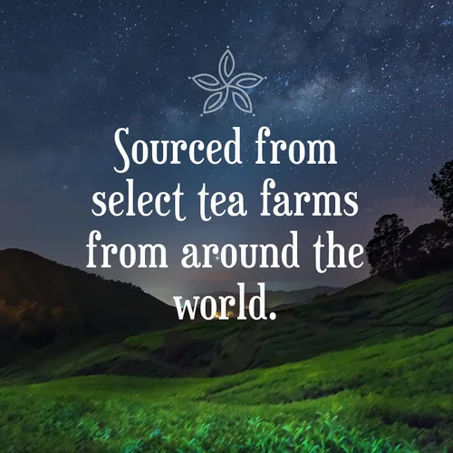 Vista 6 de Constellation Tea Cápsulas de té de hierbas de menta compatibles con cafeteras K Cup incluyendo 2.0, 40