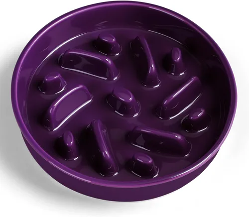 Vista 11 de Cuenco de cerámica para perros de alimentación lenta, 2 tazas de plato de Laberinto - Azul