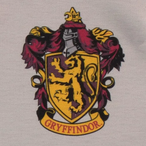 Vista 2 de Harry Potter Camisón Gryffindor para niña