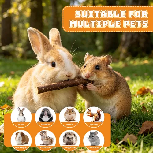Vista 4 de Palitos de manzana natural de 1 libra para animales pequeños