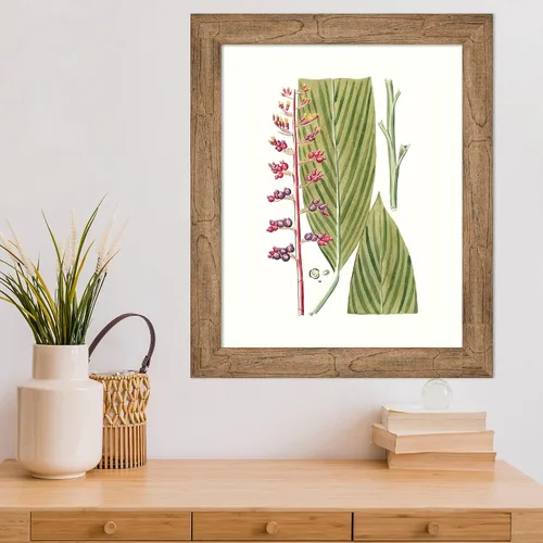 Vista 5 de Amanti Art Lienzo decorativo para pared enmarcado de 24 x 20 pulgadas, hojas de los trópicos III por Vision Studio, arte de pared de naturaleza