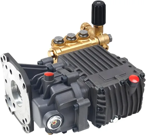 Vista 4 de Canpump CT 4066 GB: 4000 psi @ 6.6 US gpm, bomba de lavado a presión de eje