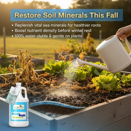 Vista 2 de Fertilizante mineral Ocean Magic Sea por GS Plant Foods (1 galón) – Concentrado líquido para mejorar la salud mineral del suelo – Minerales marinos