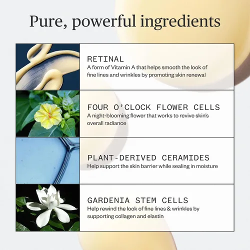 Vista 3 de Ursa Major Lunar Bloom - Suero retinal Hidratante facial potente y suave Líneas finas suaves y arrugas Vegano y libre de crueldad Para todo
