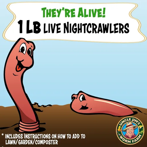 Vista 2 de Uncle Jim's Worm Farm Gusanos europeos de compostaje y pesca Nightcrawlers 1 Lb Pack