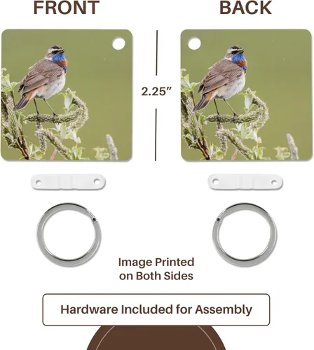 Vista 5 de 3dRose, Bluethroat Cantando bajo la lluvia, Nome, Alaska, llavero