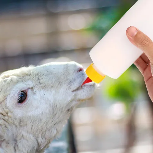 Vista 7 de 10Sets de cabra alimentador de cabra botellas para alimentar bebé s 400ML biberones cordero plástico leche alimentador para granja
