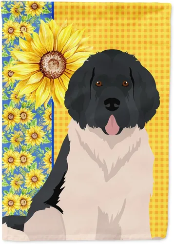 Vista 65 de Caroline's Treasures WDK5313GF Bandera de jardín con diseño de girasoles de verano, color negro y tostado, Airedale Terrier para buzón, bandera