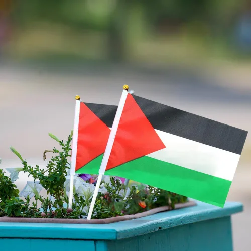 Vista 3 de 200 mini banderas palestinas palestinas de mano pequeñas banderas de Palestina en miniatura en soporte de palestina, bandera ondeadora de mano – 5.5