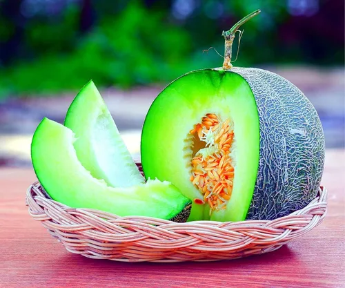 Vista 4 de Semillas de melón para plantar (10 semillas) - Cultiva tu propio alimento (Melón amargo negro)