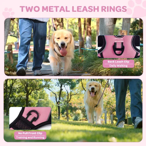 Vista 4 de FURRYFECTION - Arnés para perro a cuadros con correa y cinturón de Rosa
