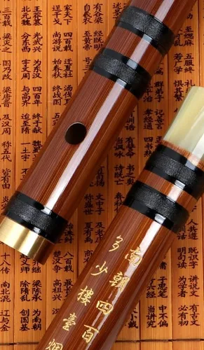 Vista 3 de LANDTOM Flauta Dizi Instrumento chino tradicional hecho a mano con membrana de bambú (llave C)