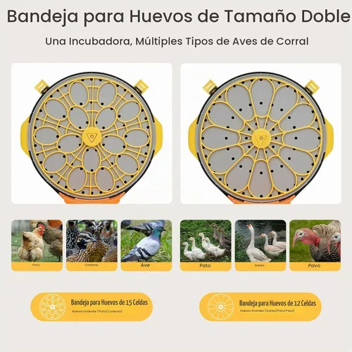 Vista 7 de Incubadoras para incubar huevos - Incubadora automática de pollitos de huevo de 15 huevos con 5 modos preestablecidos inteligentes y control