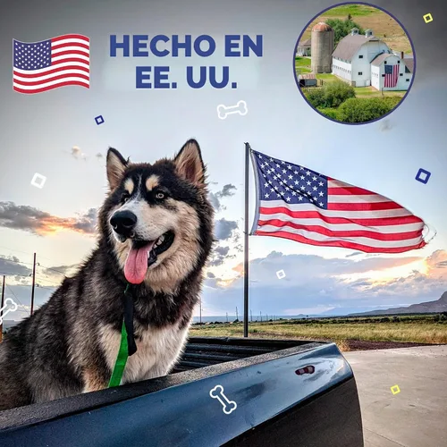Vista 6 de Handy Hound SnoutScreen - Bálsamo protector solar para nariz y patas, 1