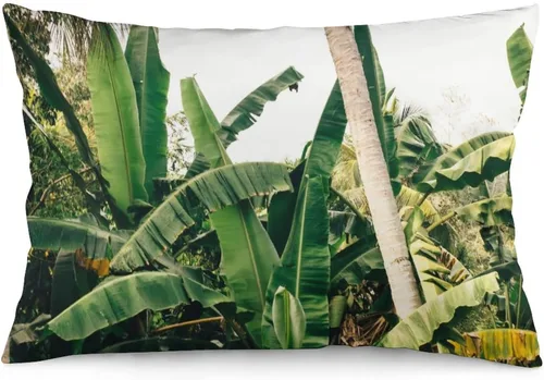 Vista 24 de Protector de almohada de playa con palmeras tropicales de 16 x 14 pulgadas, palmeras de playa, paisaje marino costero, decorativo, rectangular