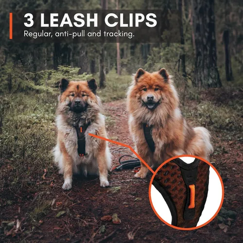 Vista 6 de Non-stop dogwear Rock Arnés ajustable para perros pequeños con 3 clips para correa, asa y reflectante, negro/naranja, talla XS