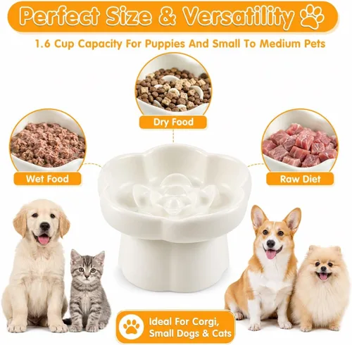Vista 7 de Cuencos de alimentación para mascotas, cuenco elevado de cerámica para perros, cuenco elevado inclinado en 10° con diseño de flores, base Blanco