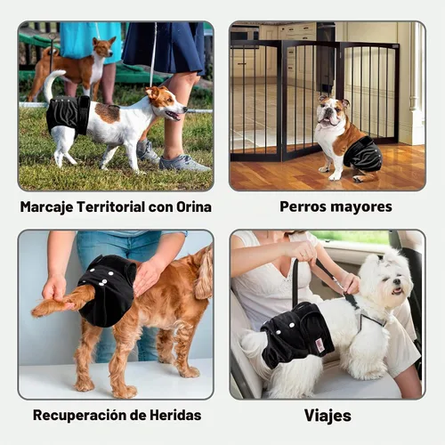 Vista 6 de Pañales lavables y reutilizables para perritos (5 unidades) para perritos, pequeños, medianos y grandes, para cachorros y perritos, bragas