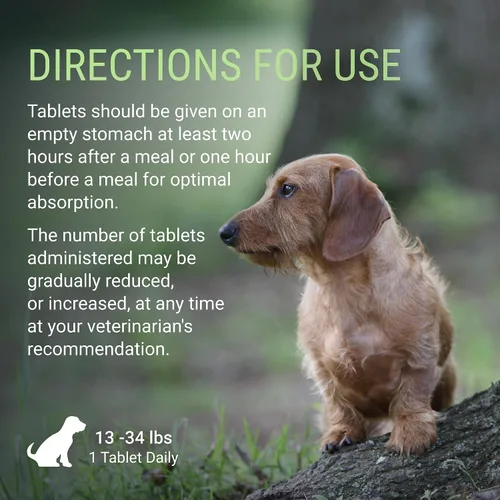 Vista 7 de Nutramax Denosyl para perros pequeños y gatos