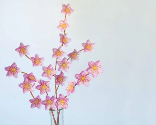 Vista 2 de PUNCH BUNCH GRANDE PUNCH CHRRY BLSM, flor de cerezo 1.75" X1.75