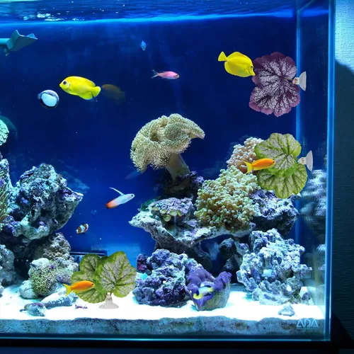 Vista 5 de WishLotus Betta Leaf, 2 piezas de hamaca artificial ligera de hoja de pez con almohadilla de hoja de betta simulada con ventosa para decoración